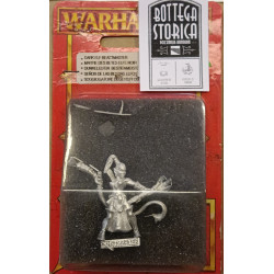 Warhammer Fantasy Dark Elf Beastmaster Metal Blister Pack OOP Citadel Vintage