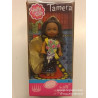 Vintage Barbie Shelly Club Tamera Mattel NRFB Nuova in Scatola